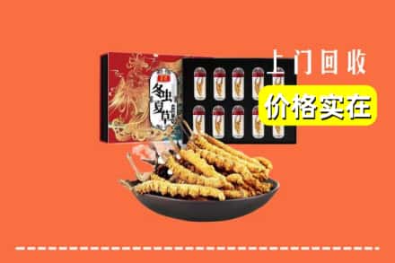 宿城区回收冬虫夏草